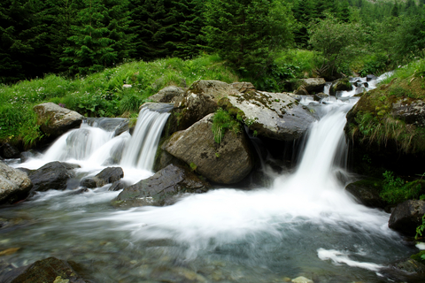 פרשת שבוע הללויה