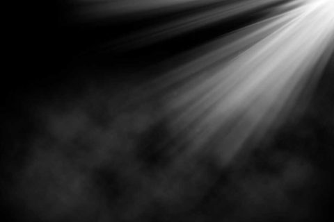 11806_optimized