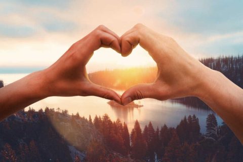 2150169243_optimized