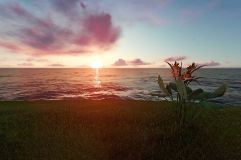 beach-sunset-seen-from-shore_optimized_optimized