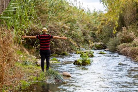 freepik-export-20241212115649jevf