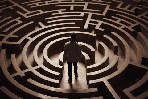 freepik__adjust__88229_optimized