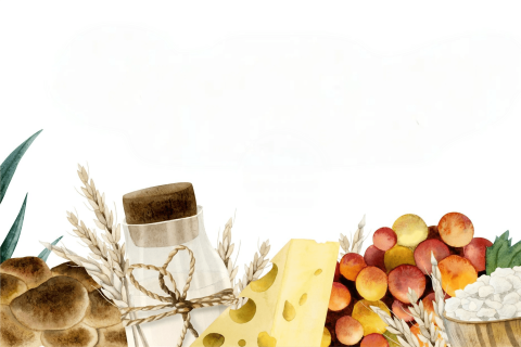 freepik__retouch__16766_optimized