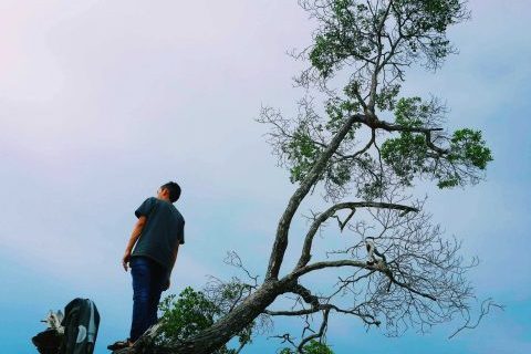 low-angle-view-man-standing-tree-against-sky_optimized