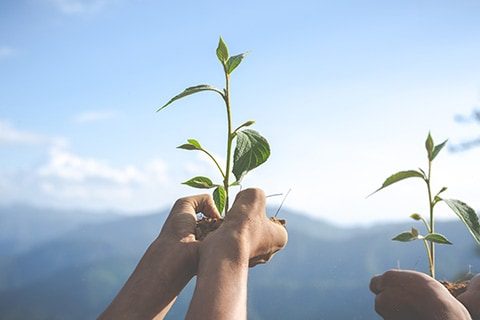 Concept of environmental conservation in the garden for children.