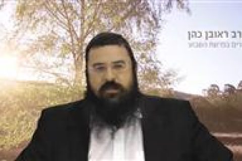 פרשת השבוע הללויה