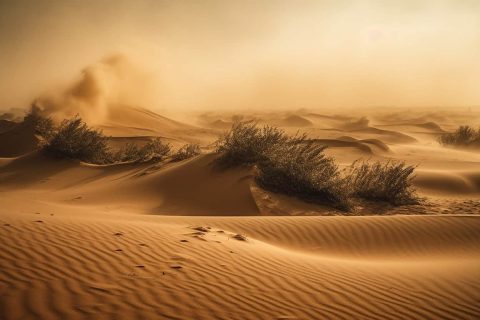 Arid climate, sand dunes, beauty in nature generated by artificial intelligence